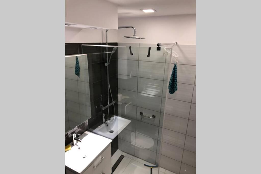 Apartament Sikornik グリヴィツェ エクステリア 写真